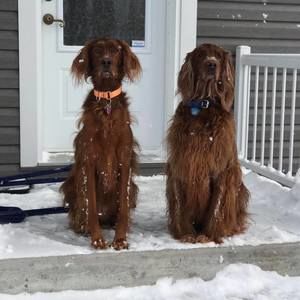 Meet your Posher, Audree